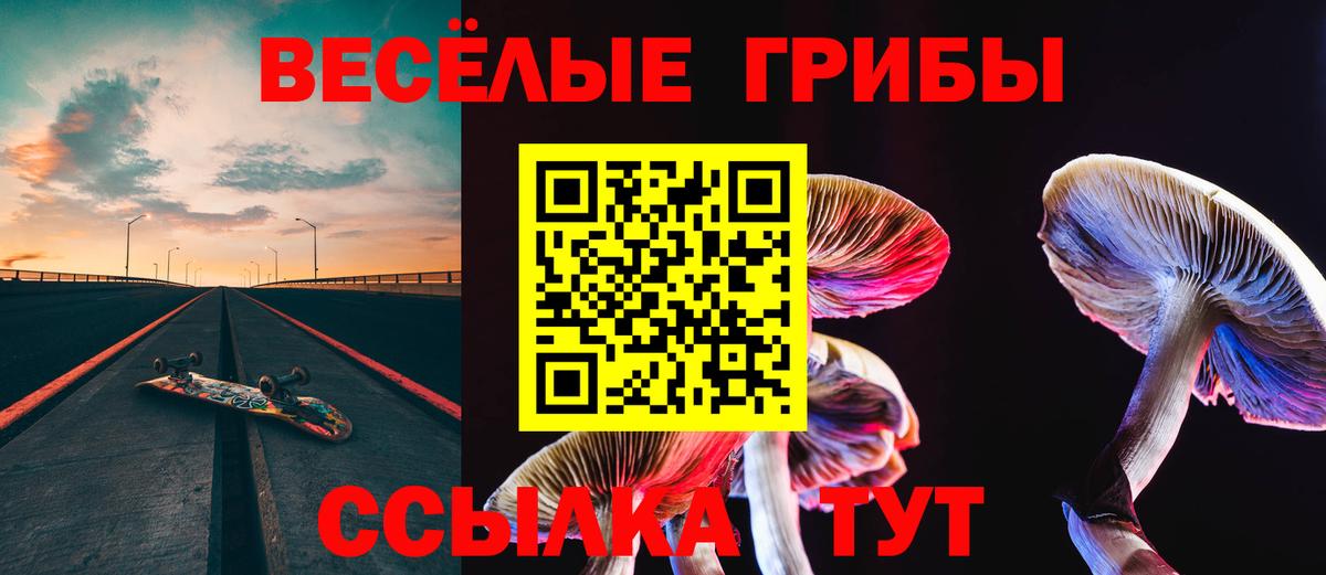 Галлюциногенные грибы Psilocybine cubensis  Галлюциногенные грибы Magic Shrooms  Приморско-Ахтарск  Вход с VPN 